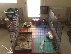 a caged in area with various animals inside