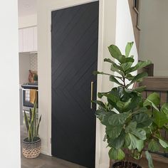 a houseplant in a pot next to a door with a black paneled design