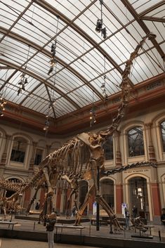 the skeleton of a dinosaur is on display in an indoor museum with glass ceilinging