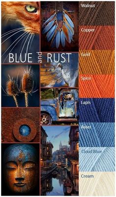 blue and rust is featured in this collage with many different pictures, including an orange cat