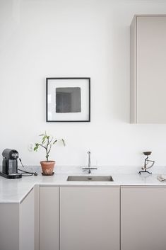 a kitchen with white walls and countertops has a potted plant next to the sink