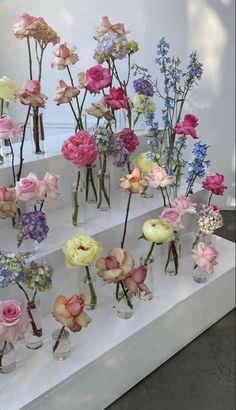 there are many different flowers in vases on the display shelf together, and one is pink