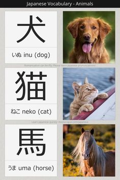 the japanese language for dogs and cats is shown in three different languages, with an image of