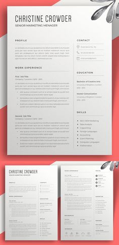 the professional resume template is ready to be used for any job