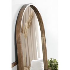 a mirror that is on the wall next to a potted plant and some towels