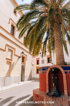 a palm tree in front of a building