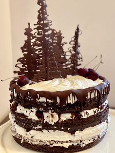 a chocolate cake with white frosting and cherries on top