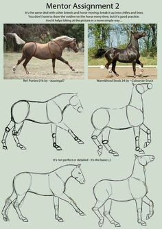 how to draw a horse step by step instructions for beginners and advanced drawing students