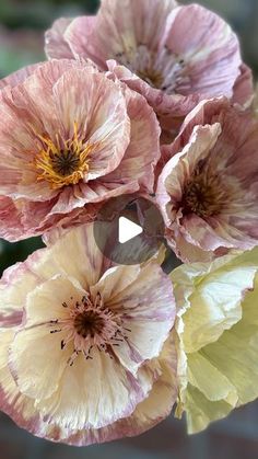 some pink and yellow flowers in a vase