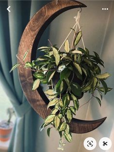 a plant is hanging from a circular wooden hanger