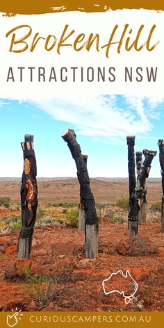 Things to do in Broken Hill New South Wales Gold Mines, Wales Travel, Outback Australia, Australian Travel, Australian Wildlife