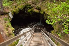 a wooden bridge going into a cave with water coming out from the tunnel and trees growing on both sides