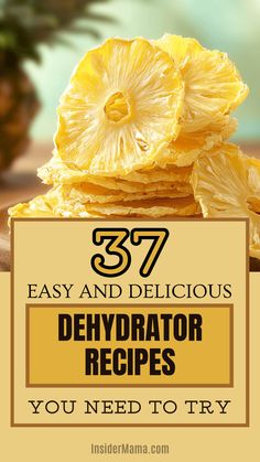 pineapples with the words 37 easy and delicious dehydrator recipes you need to try