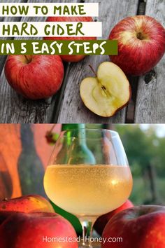 an apple cider with the words how to make hard cider in 5 easy steps