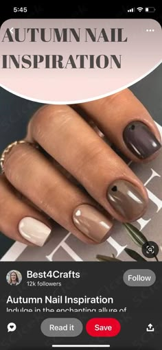 Grey And Pink Fall Nails, Autumn Gel Nails 2024, Nail Ideas For Fall 2024, Fun Autumn Nails, Plain Autumn Nails, Fall Nail Dip Designs, Fall Nail Polish Ideas, Fall Nails Different Color Each Nail, October Nails Ideas Autumn