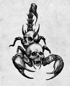 a black and white drawing of a scorpion with skulls on it