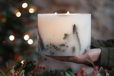 a person holding a lit candle in front of a christmas tree