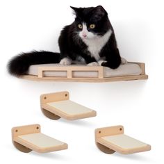 a black and white cat sitting on top of a wooden shelf next to three pieces of furniture