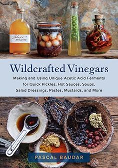 the cover of wildcrafted vinegars making and using unique acrylic acid ferments