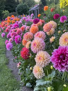 many different colored flowers in a garden