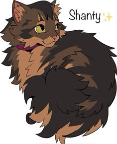 a drawing of a fluffy cat with the words shanty on it's chest