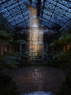 the inside of a building with lots of plants and lights hanging from it's ceiling