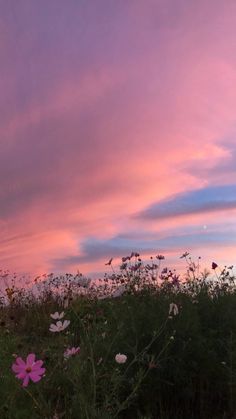 the sky is pink and purple with flowers in it