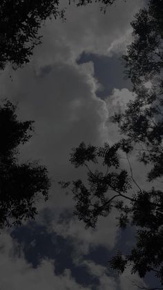 the sky and trees are reflected in the water on a cloudy day with no clouds