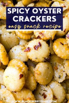 the words spicy oyster crackers are in front of a pile of fried food items