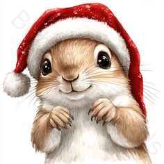 a drawing of a rodent wearing a santa hat