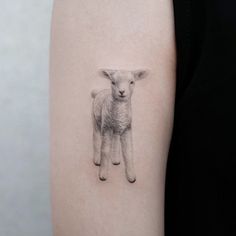 a small sheep tattoo on the left arm