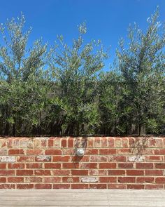 a brick wall with trees in the background