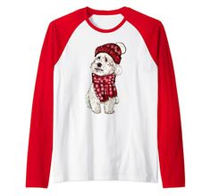 Cavalier King Charles spaniel, festive Cavapoo puppy dog Raglan Baseball Tee Cavapoo Puppy, Cavapoo Puppies