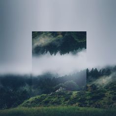 an image of foggy mountains with trees in the foreground and grass on the ground below