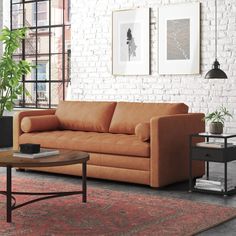 a living room with a couch, coffee table and potted plant