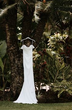 a white wedding dress hanging on a tree in the middle of some plants and trees