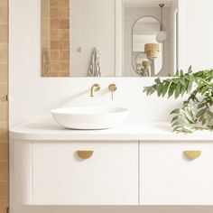 a bathroom with a sink, mirror and plants