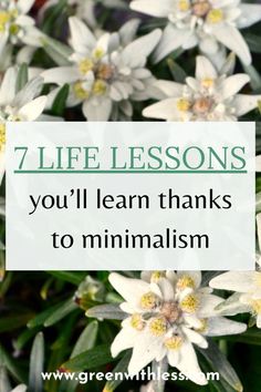 Since becoming minimalist a few years ago, I've learned surprising life lessons that have completely changed the way I see life today. Click on the pin to discover these 7 inspiring and important life lessons that minimalism taught me. Becoming Minimalist, Important Life Lessons, Hacks And Tips, After 3