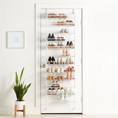 the shoe rack is next to a potted plant in front of a white door