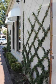 a white building with ivy growing on it's side next to a street light