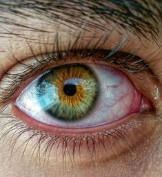 an extreme close up shot of the eye of a man with blue and yellow eyes