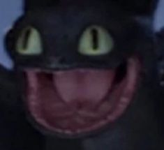 a close up of a black cat with its mouth open and glowing green eyes in the background