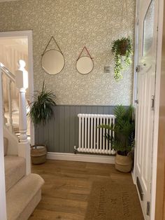 a hallway with some plants on the wall and two round mirrors above it, along with a rug