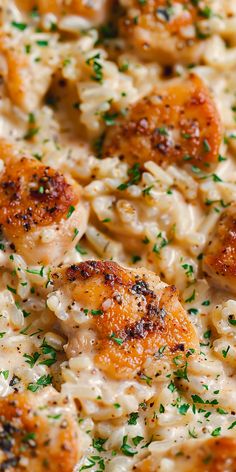 chicken and rice casserole with parsley sprinkled on top, ready to be eaten