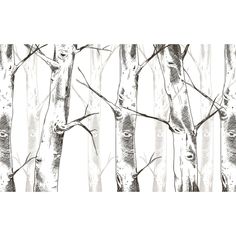 an image of trees that are drawn in pencil and ink with the same color as the background