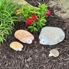 three small rocks sitting on top of mulch next to flowers