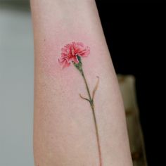 White Carnation Tattoo, Carnation Flower Tattoo, Wildflowers Tattoo, Carnation Tattoo, Watercolor Rose Tattoos, Purple Tattoos, Traditional Tattoo Flowers, Flower Tattoo Meanings, Chrysanthemum Tattoo