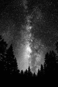 the night sky is filled with stars and trees