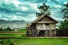 an old wooden house sitting in the middle of a lush green field with mountains in the background