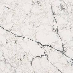 white marble textured with black vein lines